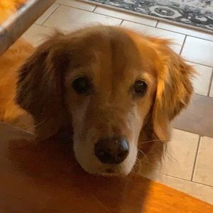 Meet your Posher, Jordan